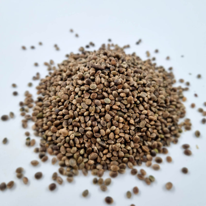 Captura Baits kempzaad