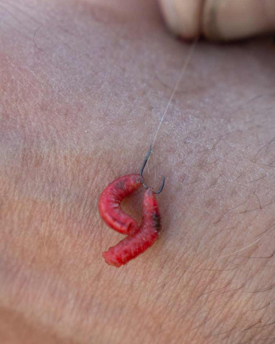 X2 COMMERCIAL F1 BARBLESS