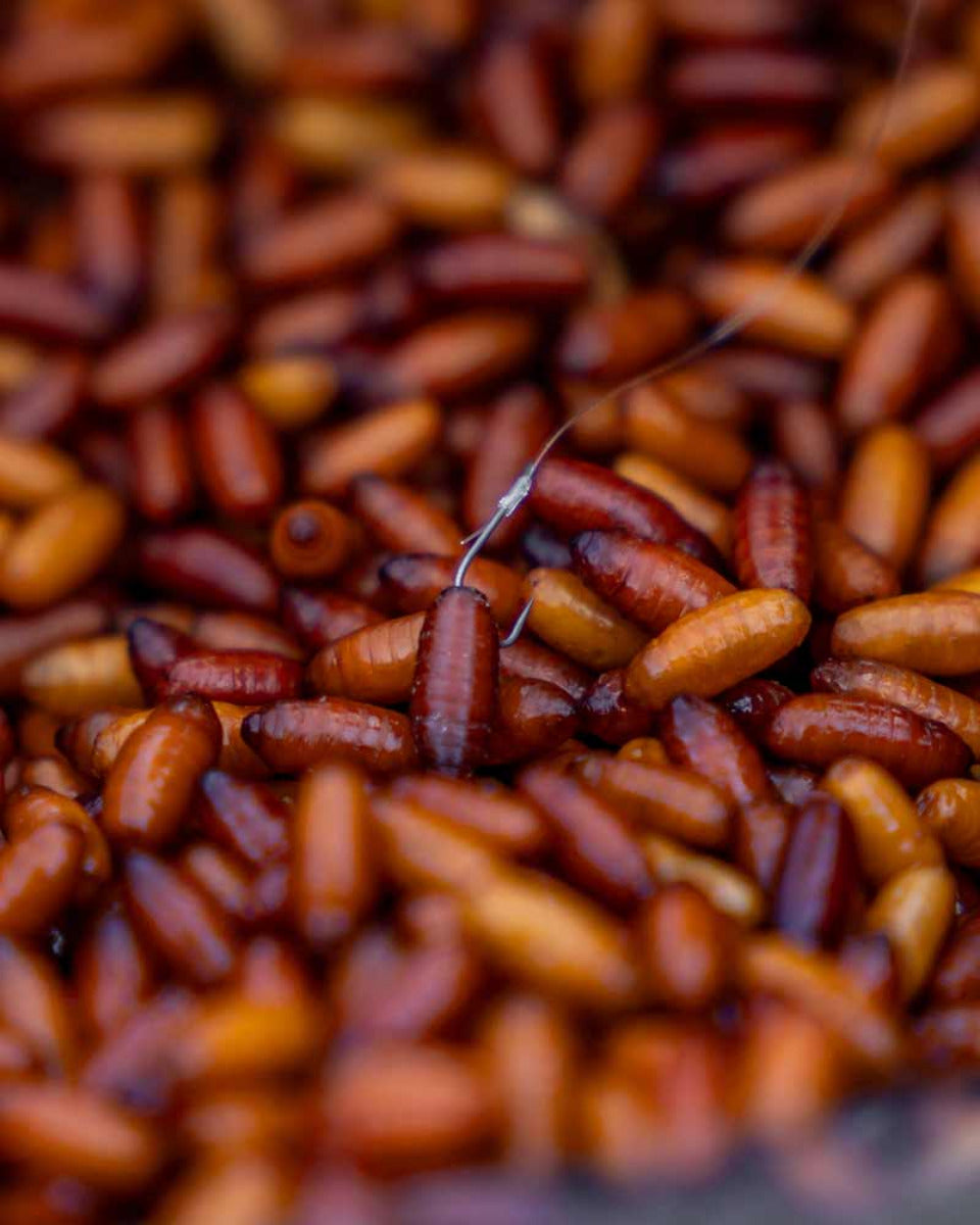 X4 COMMERCIAL SILVERS BARBLESS