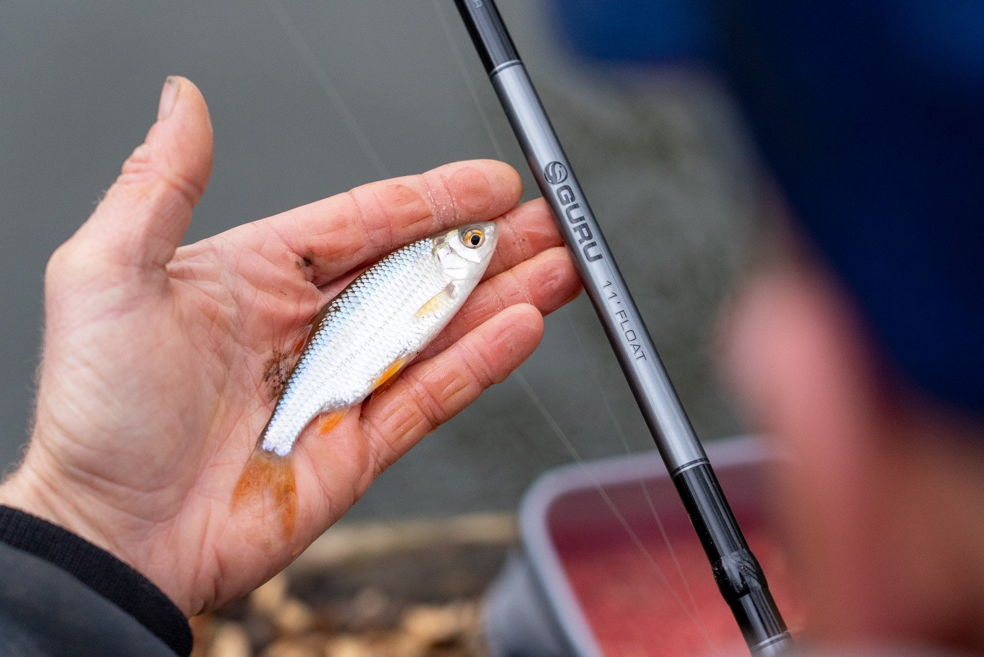 11' NATURAL WAGGLER ROD & REEL COMBO