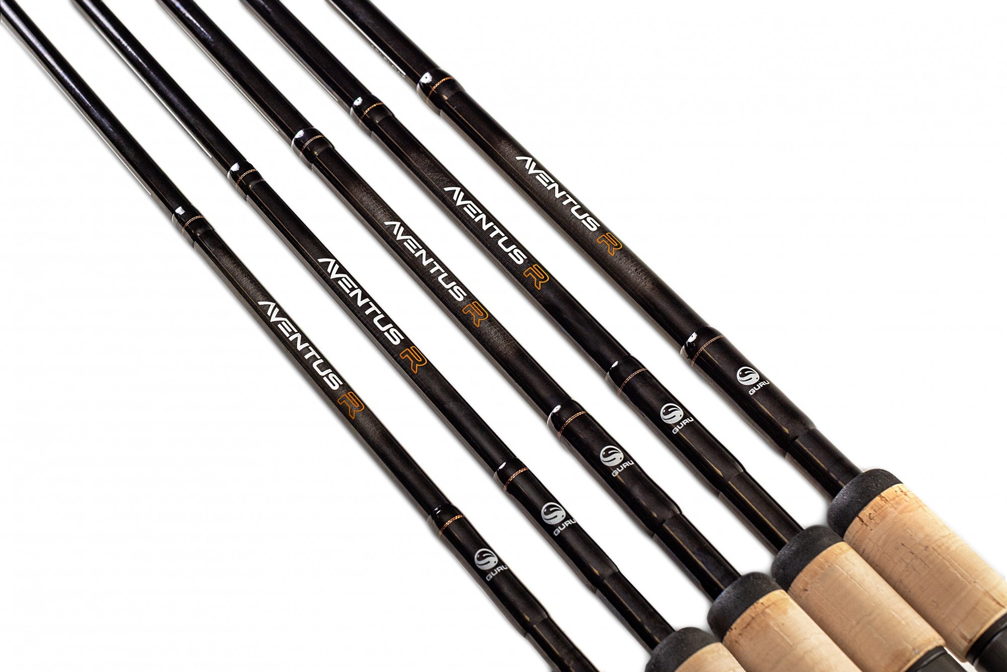 Guru-Aventus-R-rods-6