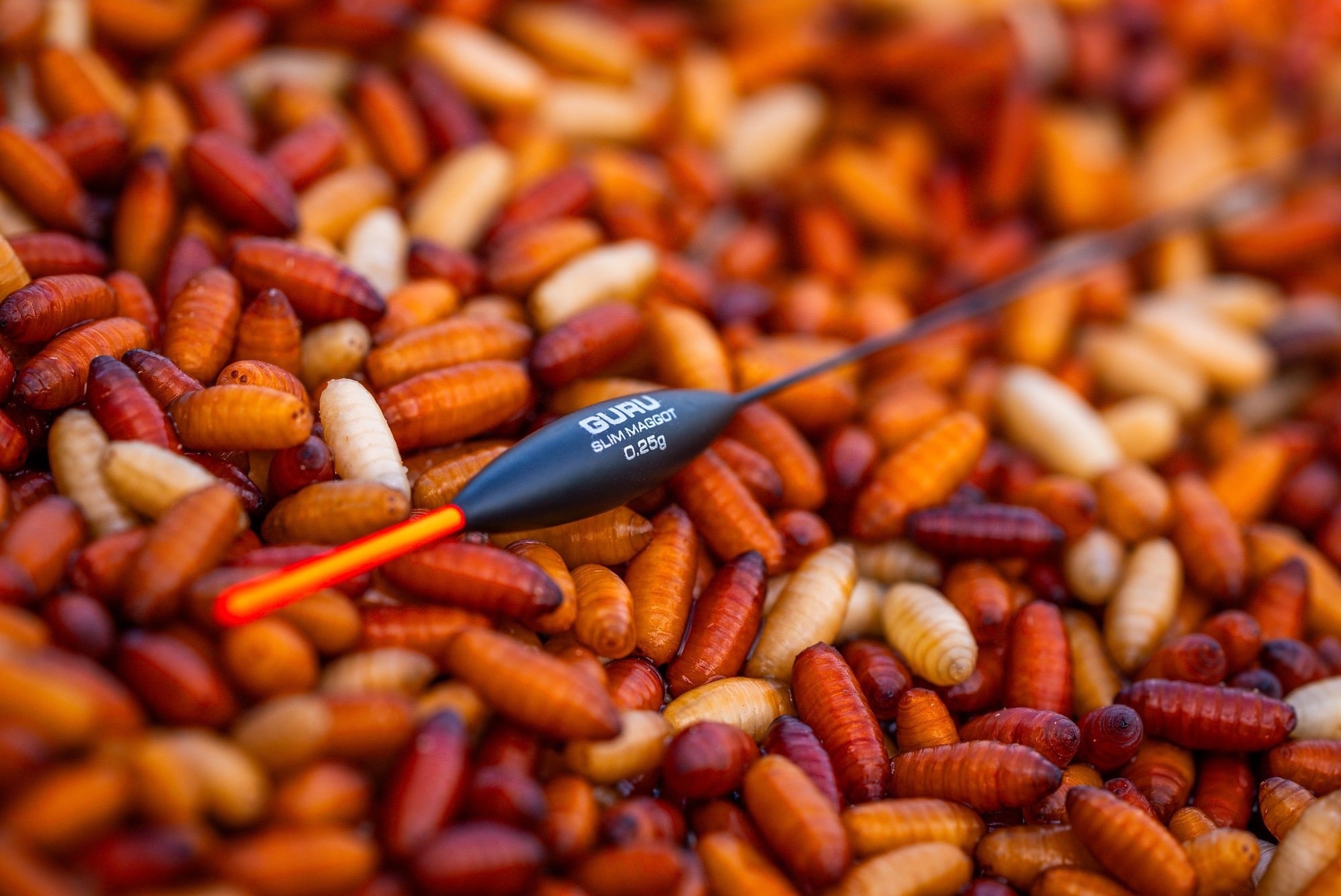 SLIM MAGGOT (10 stuks of โฌ2,97/stuk)