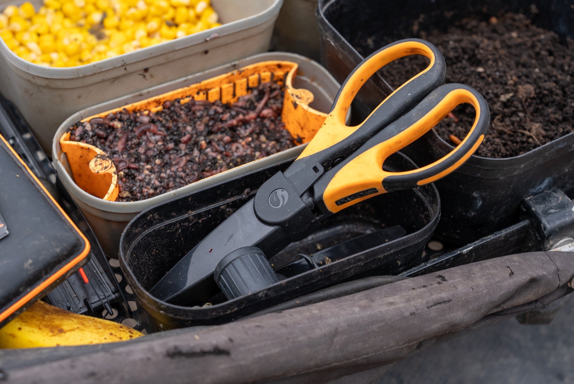 Guru-worm-scissors-3