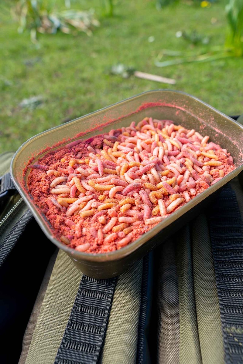 Korum Maggot Bait Tub