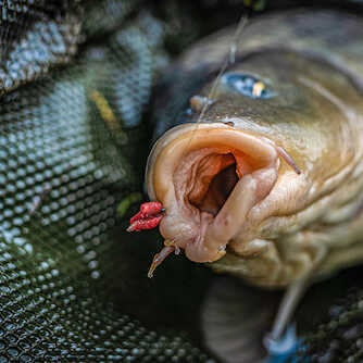 Korum Allrounder Hooks Barbed Supersteel Haak