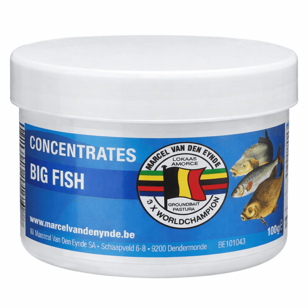 Marcel-van-den-eynde-concentrates-big-fish