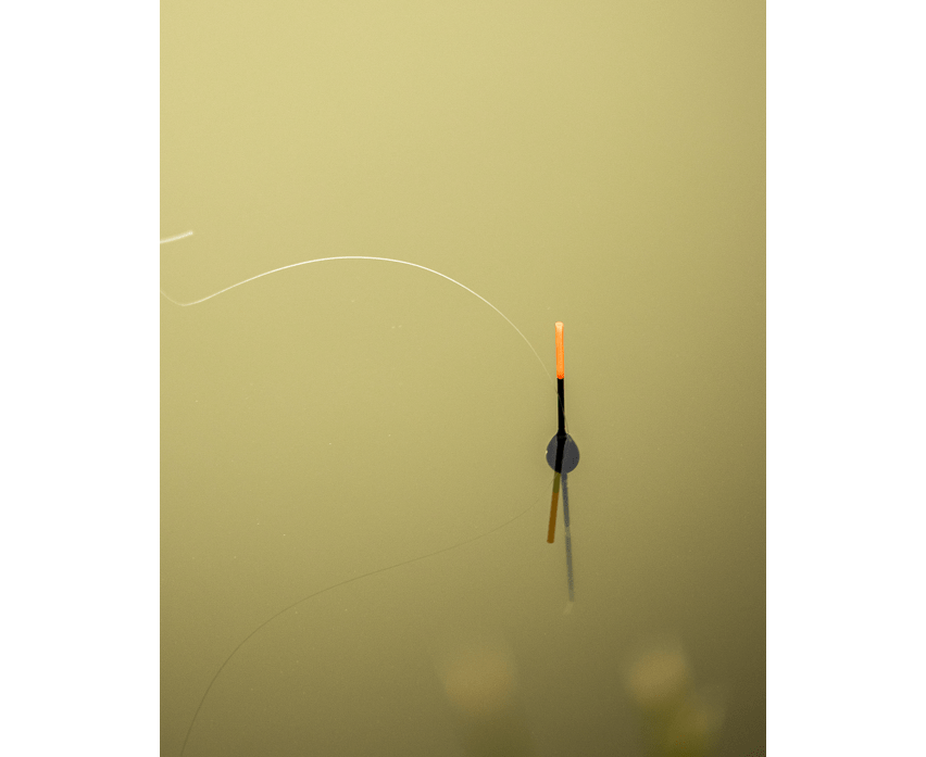 preston olive ole float