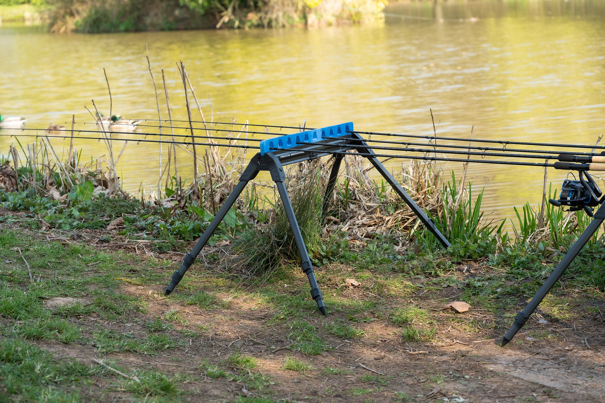 INCEPTION PRO ROOST STANDARD / DELUXE 🔝