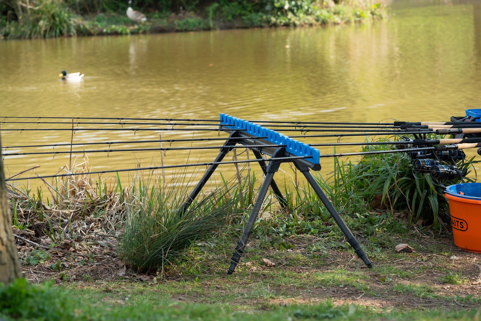 INCEPTION PRO ROOST STANDARD / DELUXE 🔝