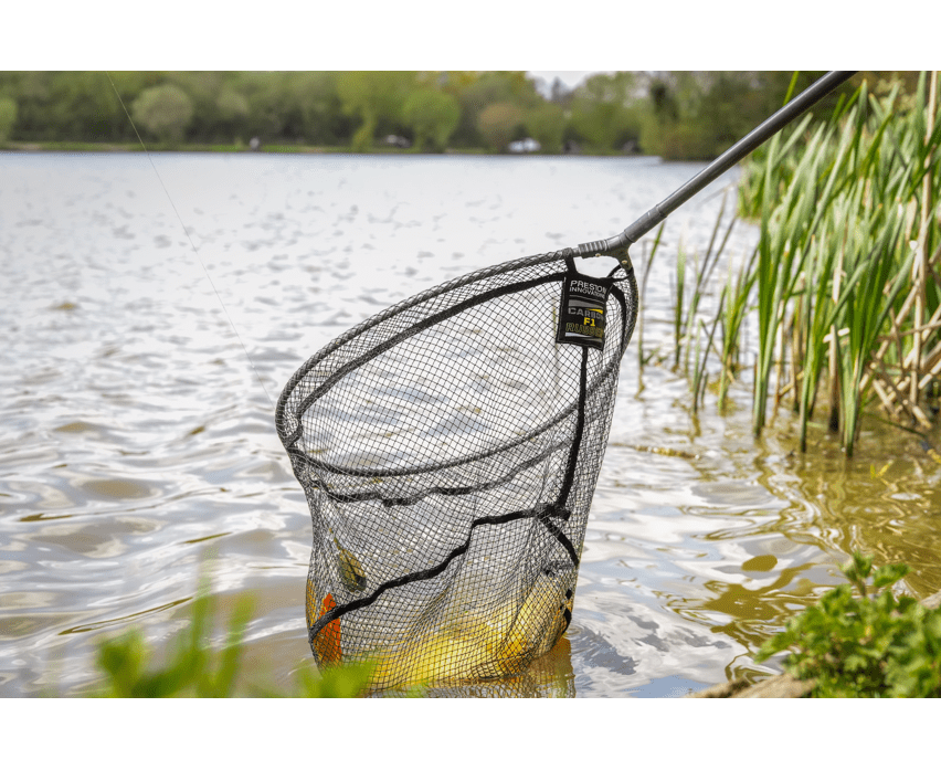 Preston carbon F1 latex landing nt