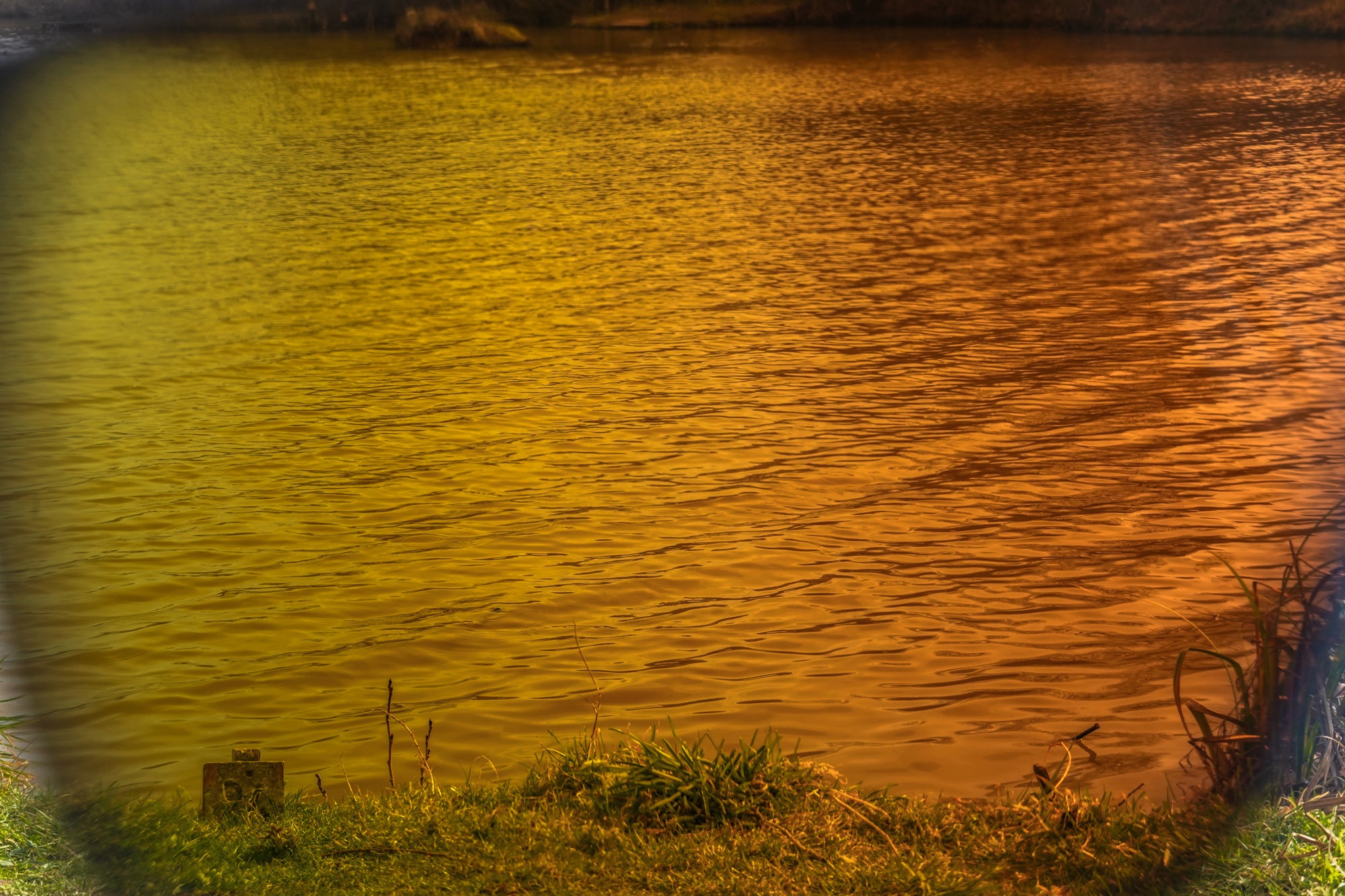 Preston absolute wrap sungasses - amber brown