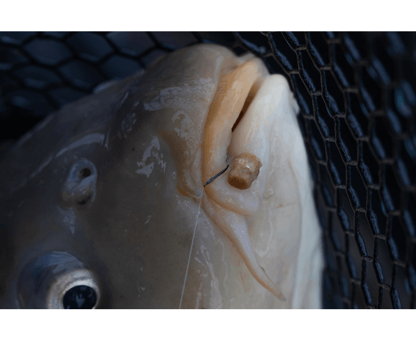 Preston-hookable-bait-bands