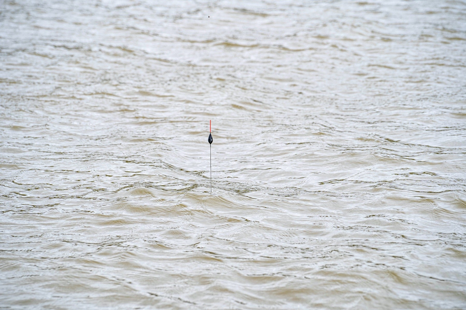 KERRY POLE RIGS (5 Stück zu €4,51/Stück)