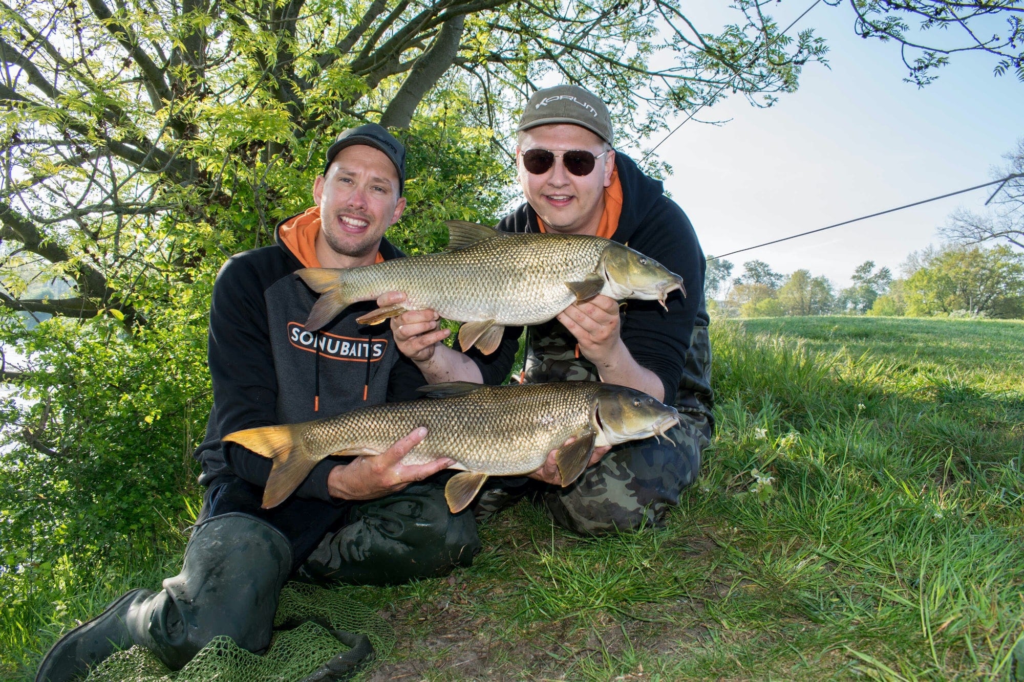 sonubaits cheesy garlic halibut pellets