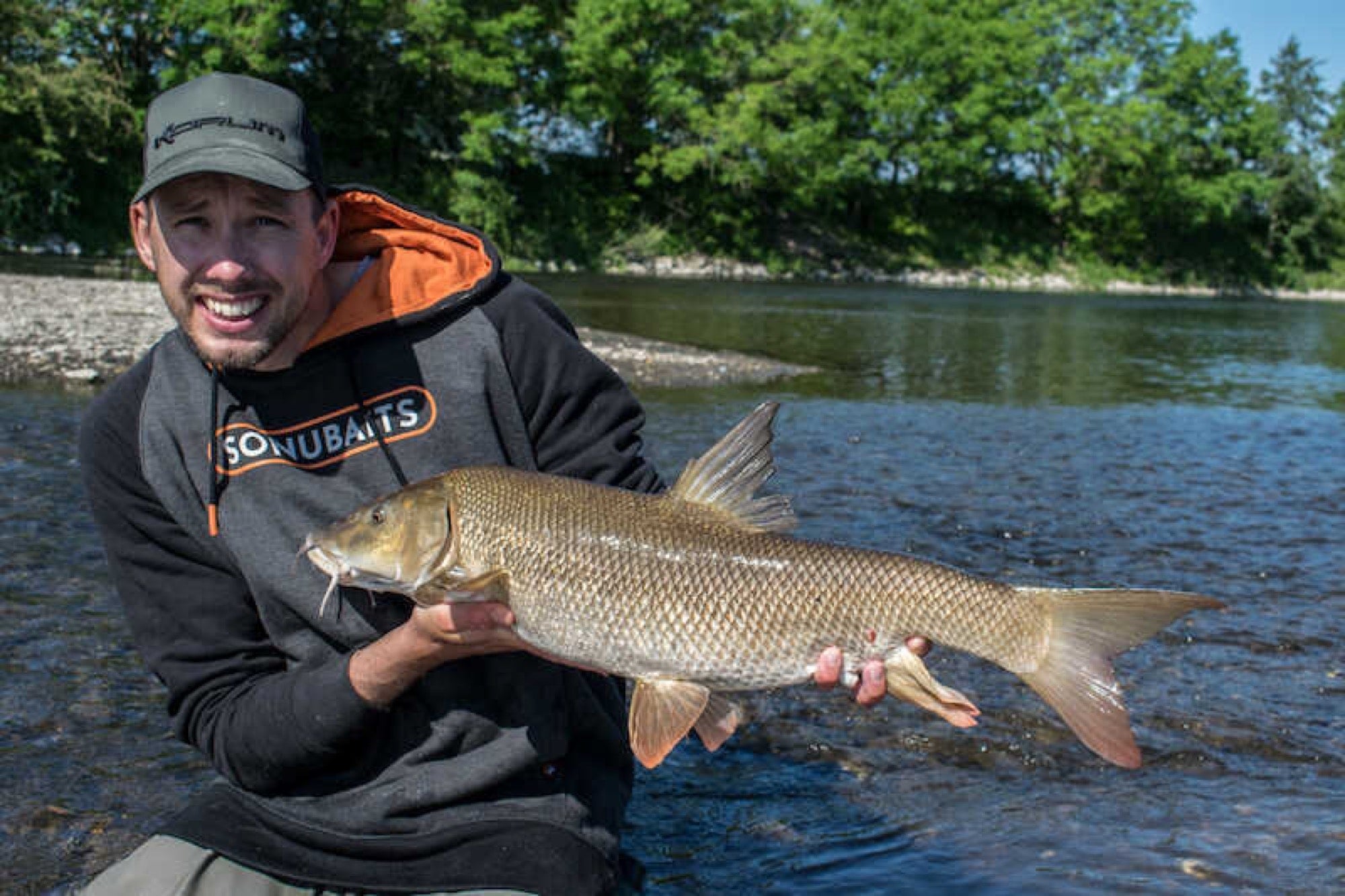 sonubaits cheesy garlic halibut pellets