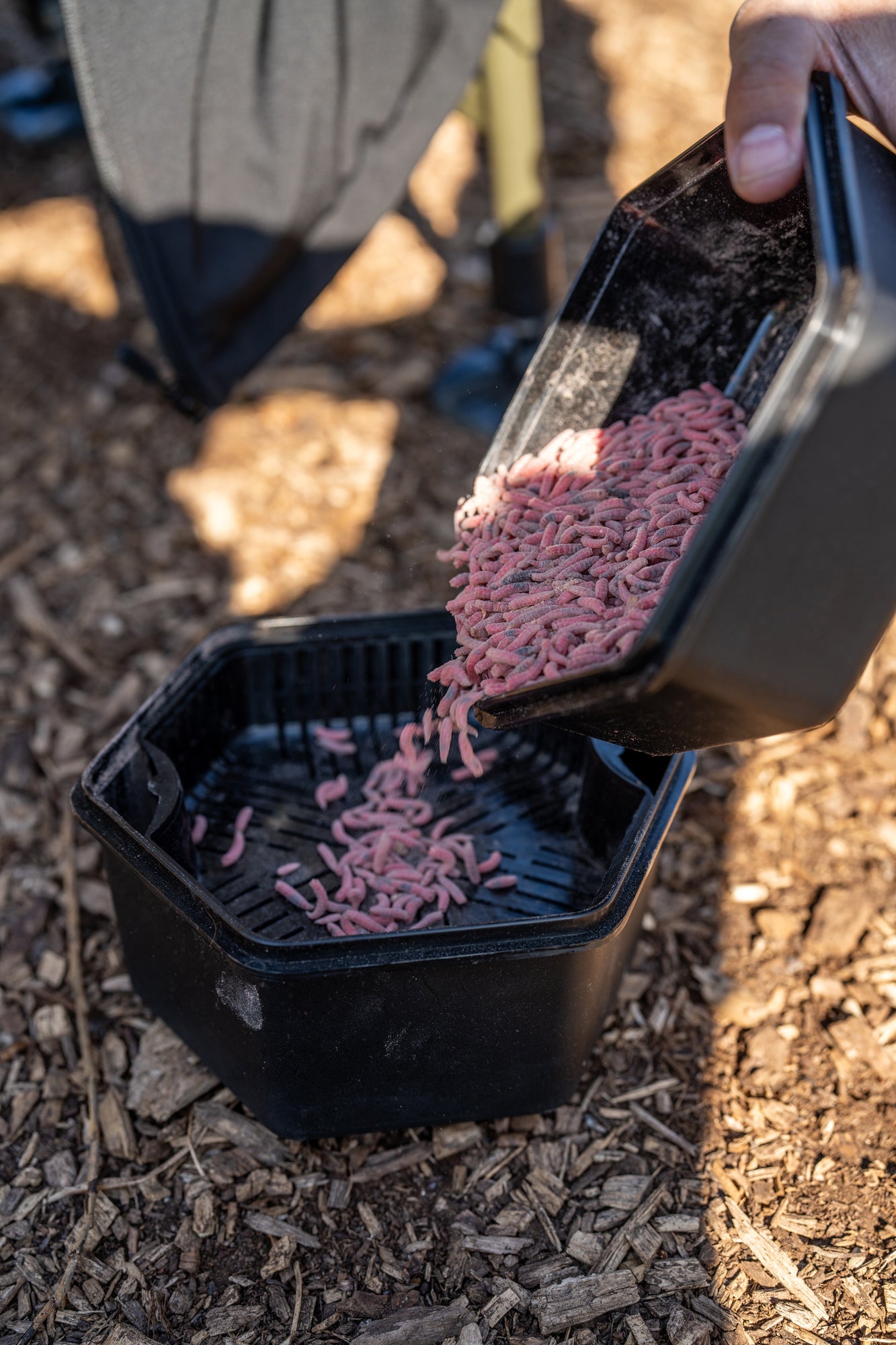 ZEBCO SECURE-LOCK BAIT BOX AND SIEVE 2L