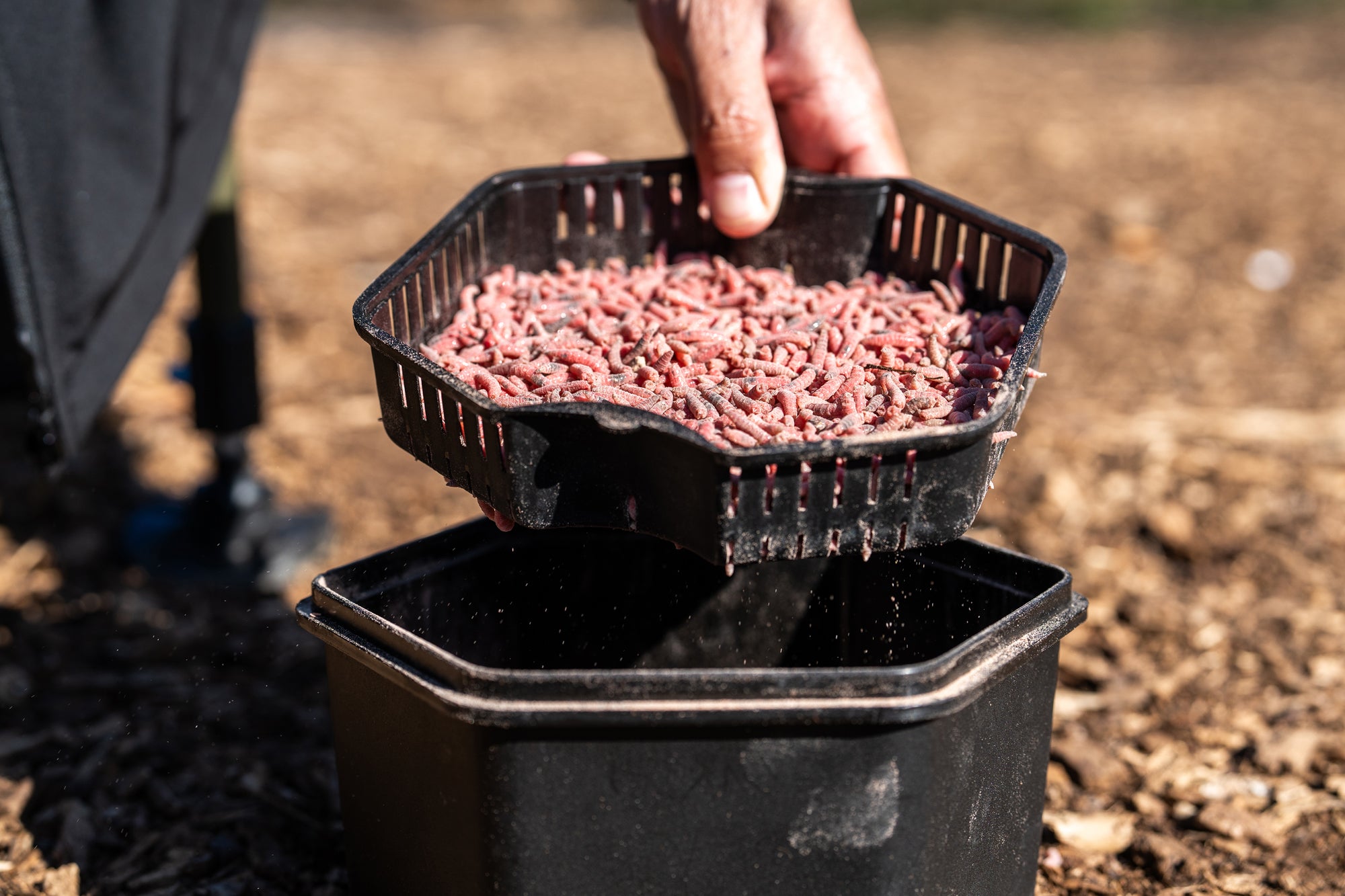 ZEBCO SECURE-LOCK BAIT BOX AND SIEVE 2L
