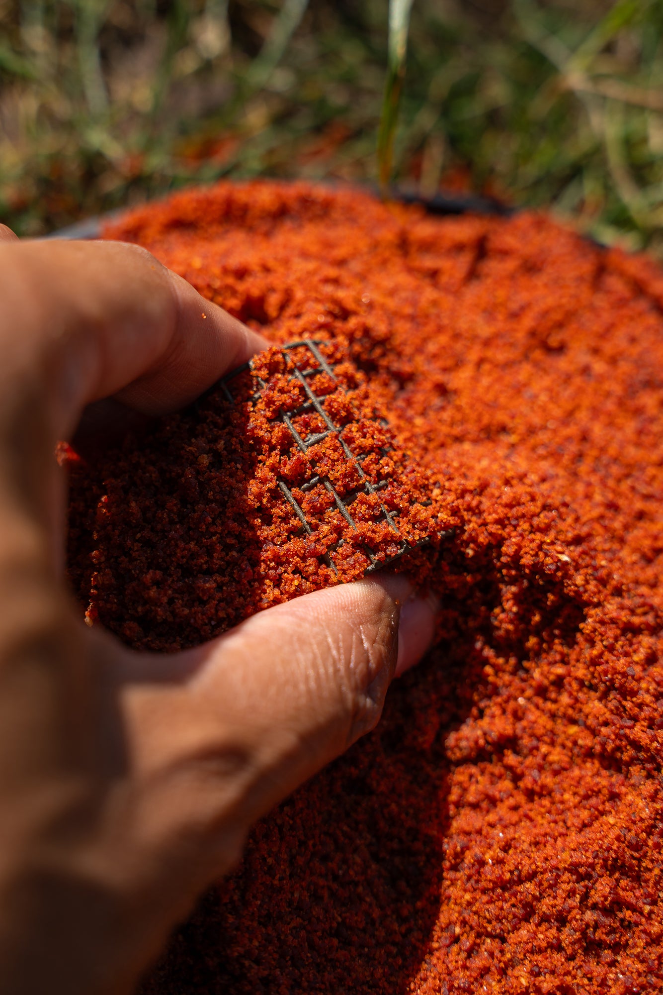 Zebco Trophy Wire Feeders