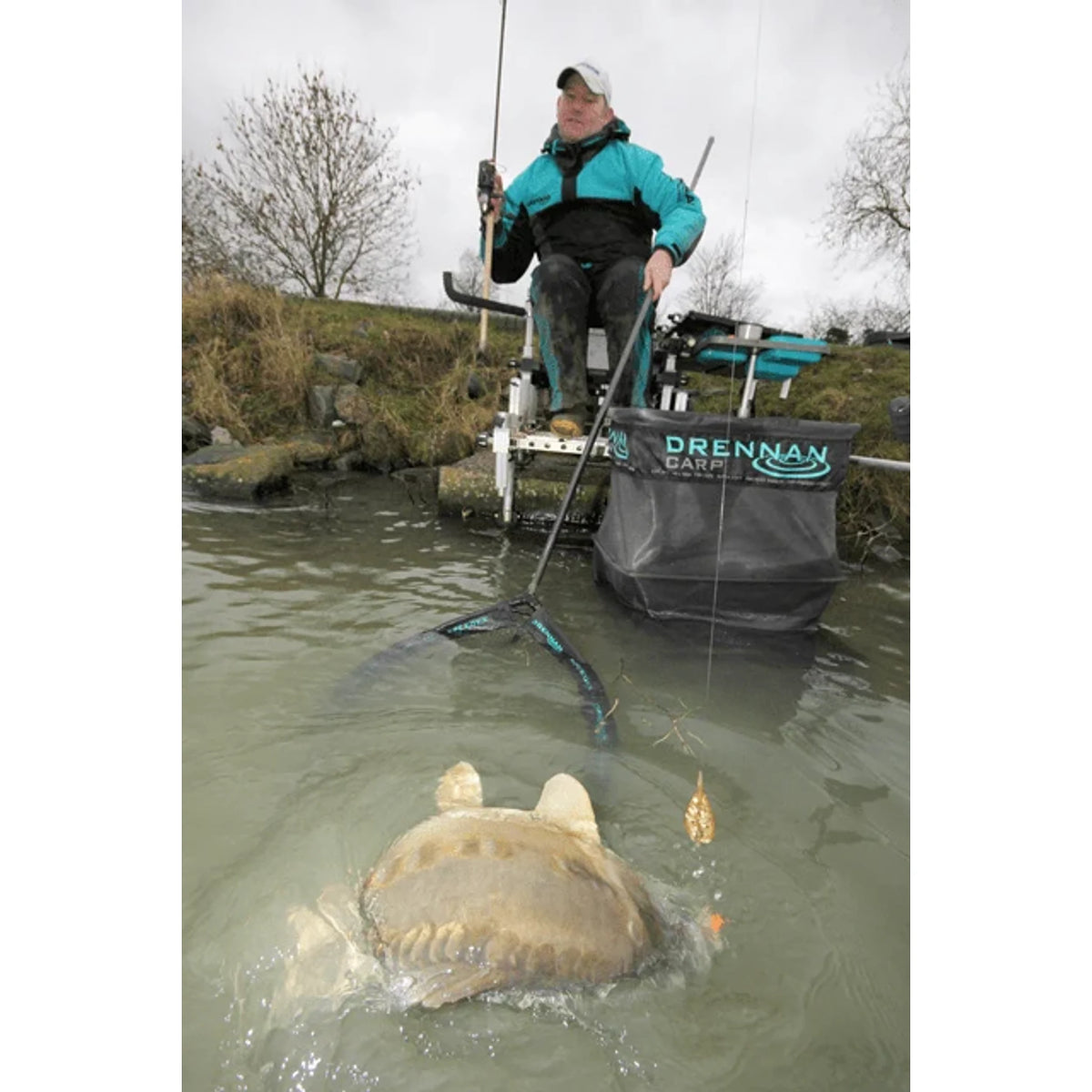 drennan acolyte plus feeder hengel