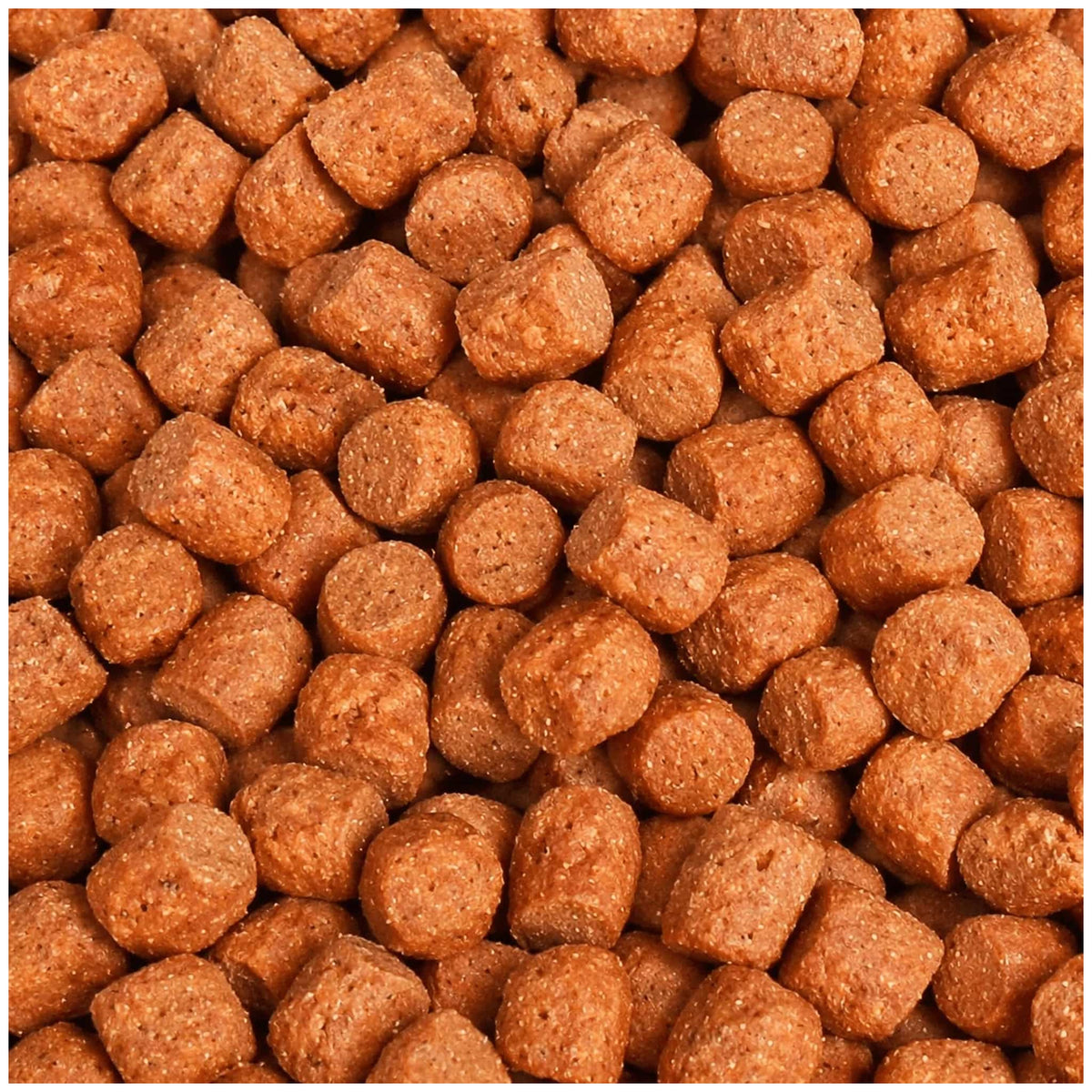 Macrobeeld van oranjebruine korte cilindervormige koivoerpellets met ruwe korrelstructuur en lichte spikkels.