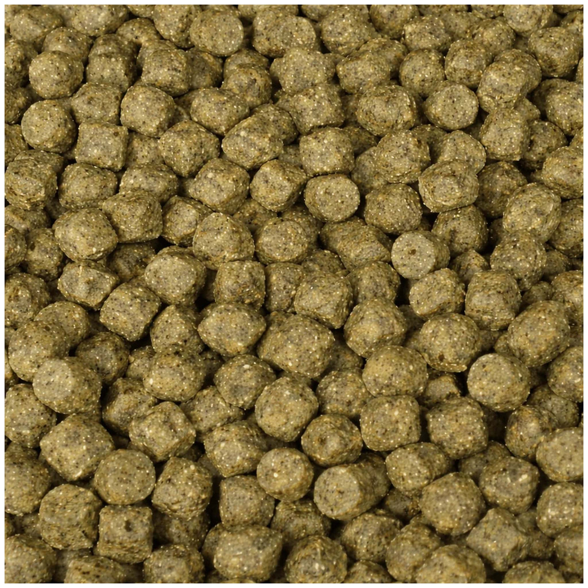 Macrobeeld van olijfbruine korte cilindervormige koivoerpellets met fijne lichte korrelspikkels.