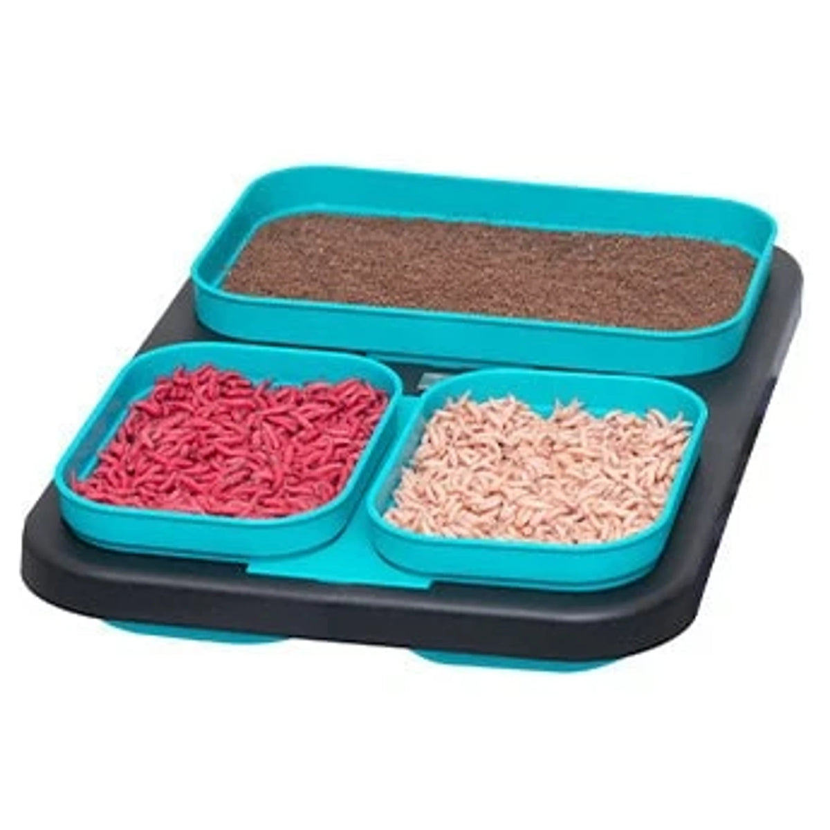 Drennan DMS Bait Boxes – DMS Bait Waiter met drie lege blauwe aasdozen