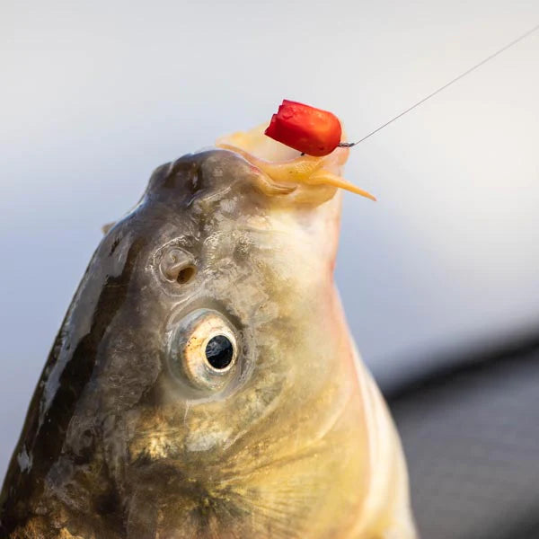 fjuka sensate bait dye