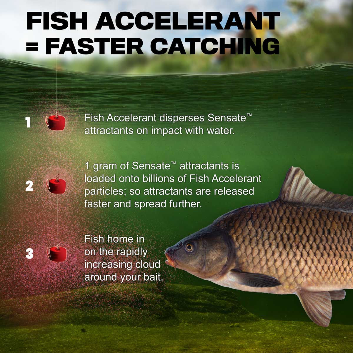 SENSATE FISH ACCELERANT 95ml