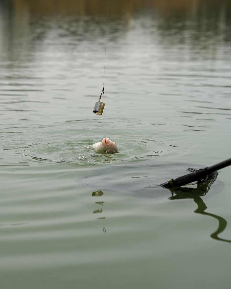 PLASTIC OPEN ENDED FEEDERS