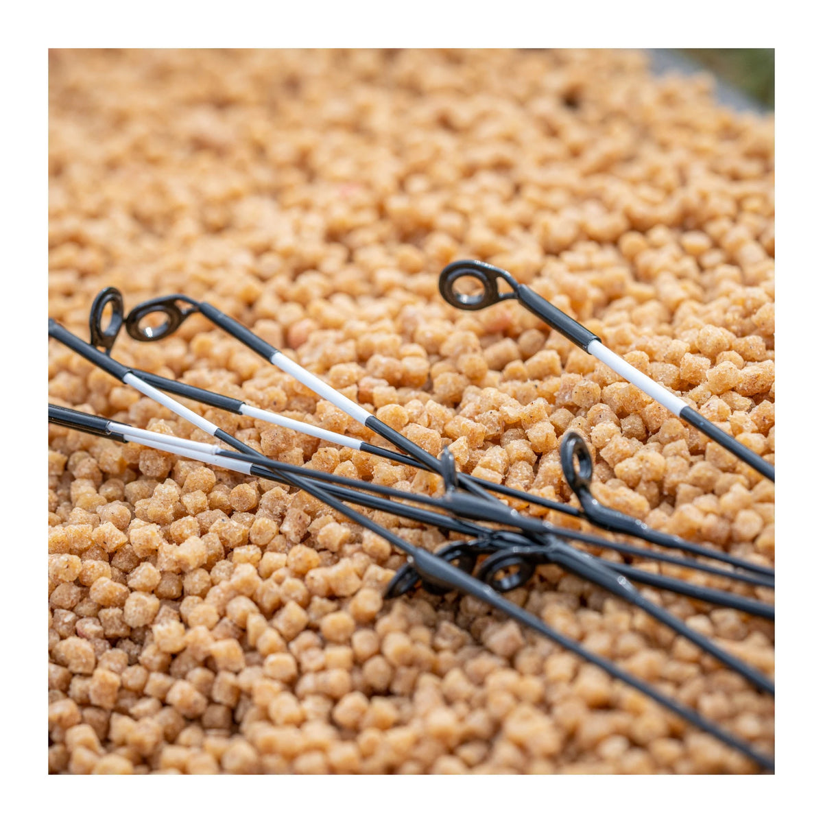 Guru A-Class Distance Quiver Tips – detail van witte beetindicatie en donkere ogen op pellets