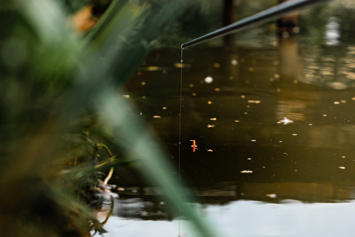 guru bagger float dobber