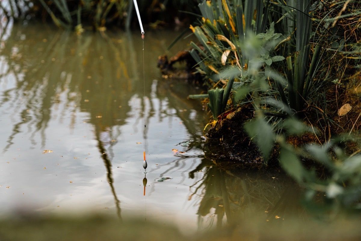 guru bagger float dobber