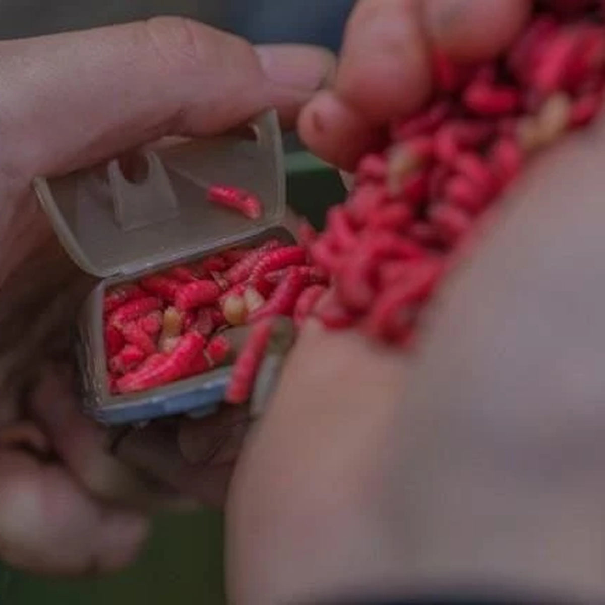 Guru Multi Maggot Feeder – detailafbeelding 4 van de madenkorven