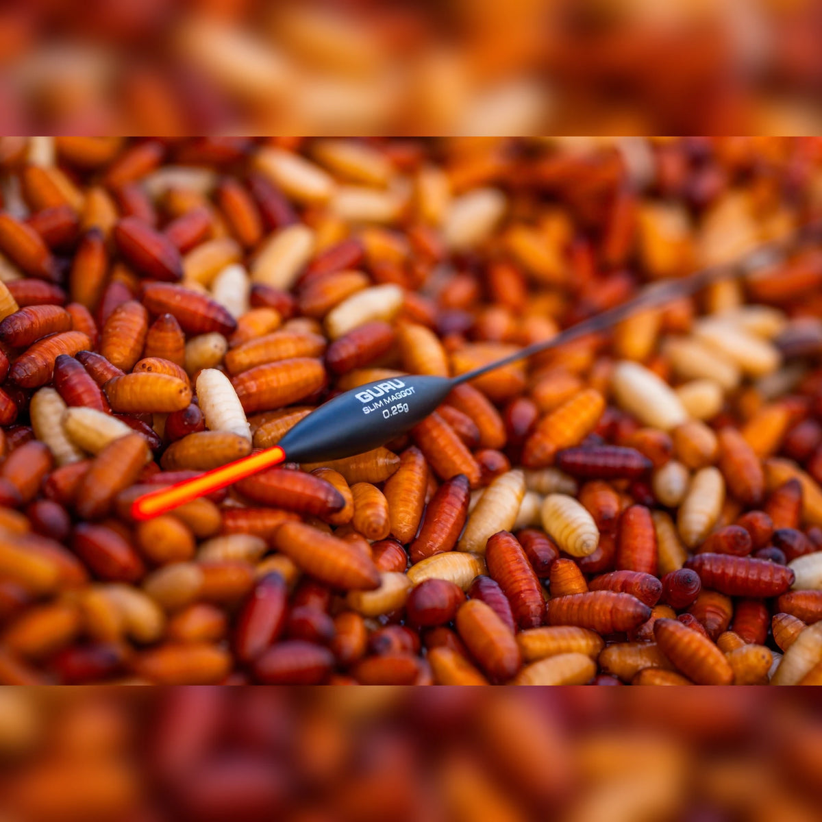 Guru Slim Maggot 0.25g dobber met oranje antenne op casters, detailfoto