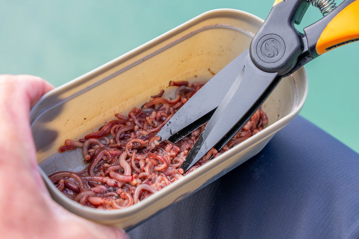 Guru Worm Scissors knipt wormen in een aasbak op schoot