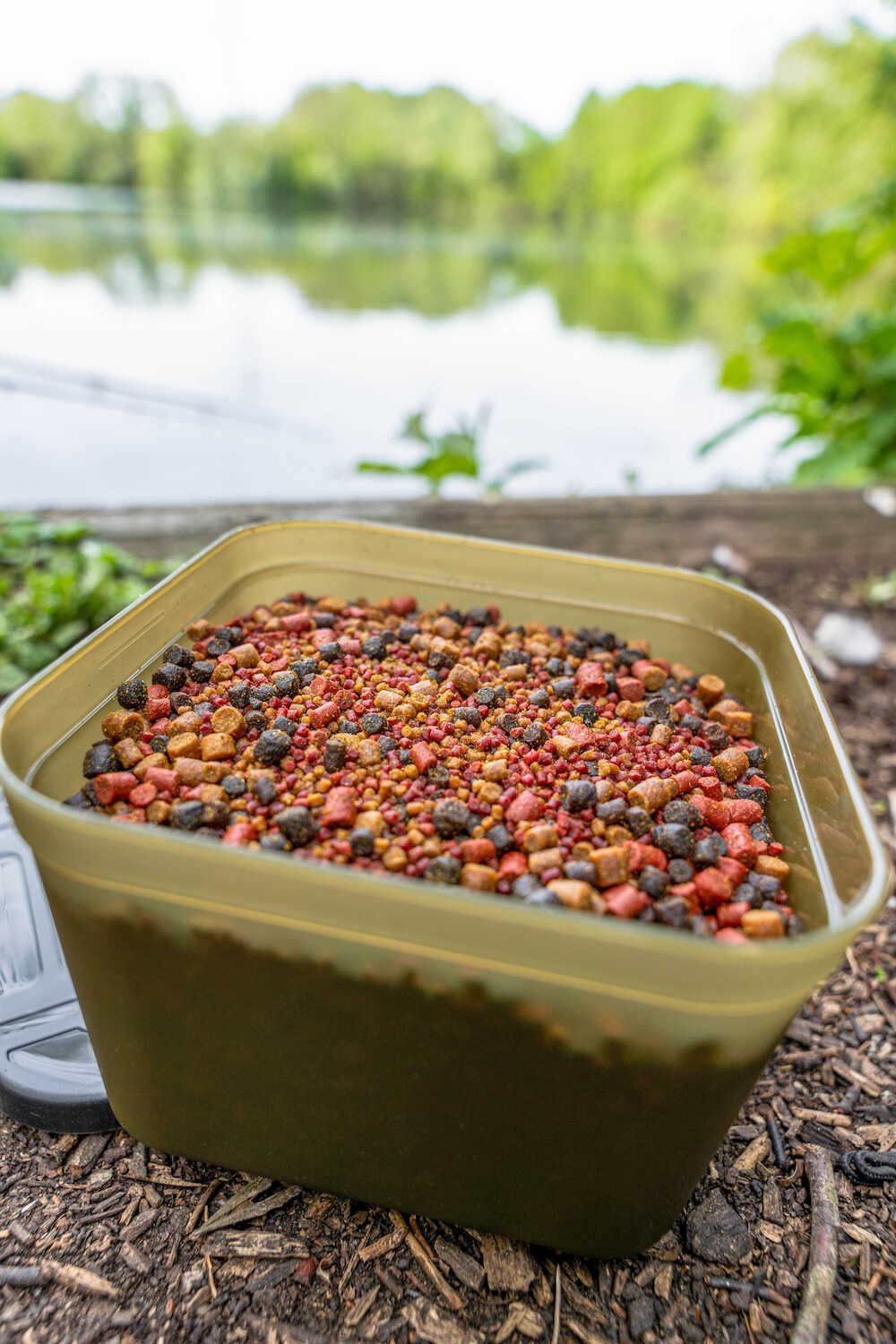 Korum bait tubs aasdozen barbeel