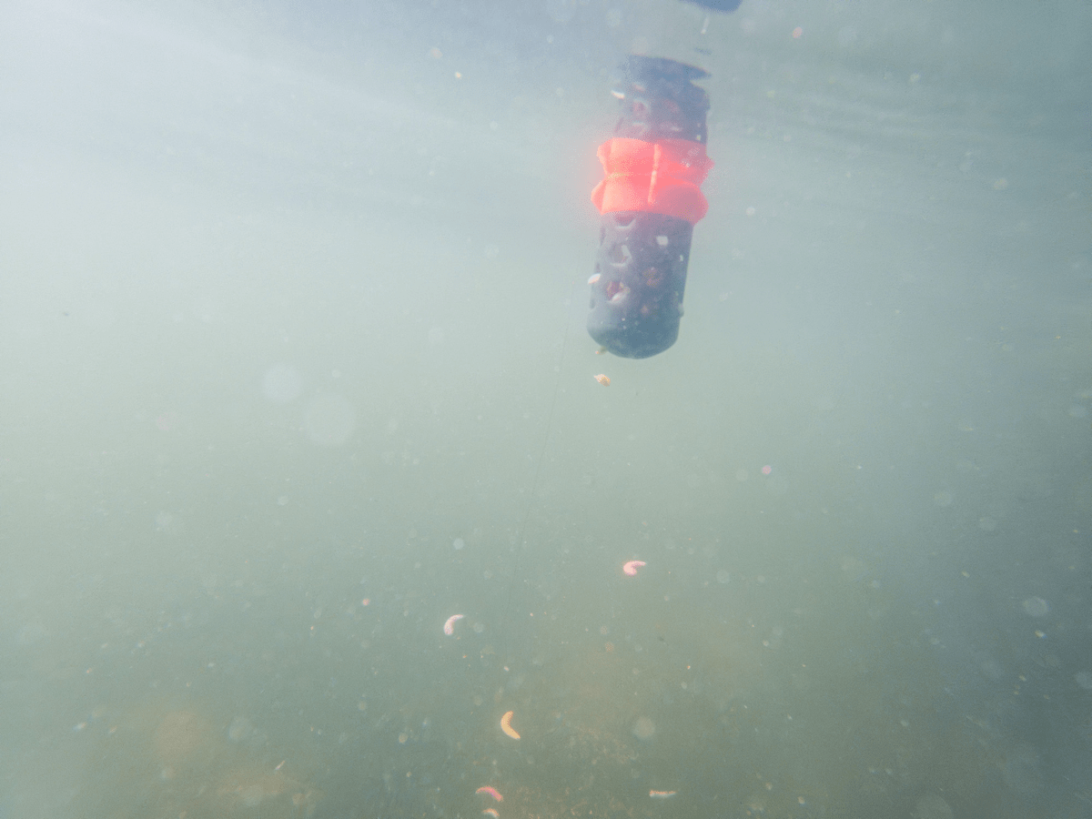 Korum floating feeder