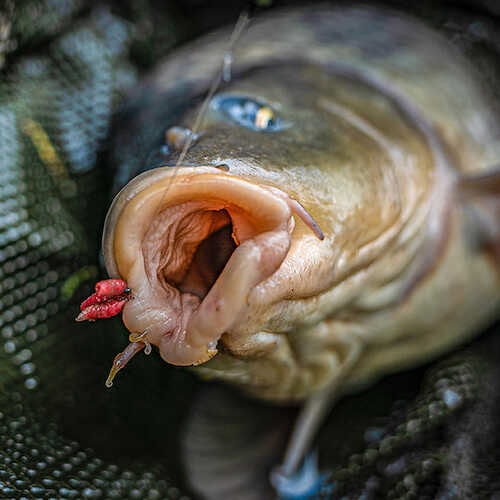 korum grappler hooks barbed barbeel haak