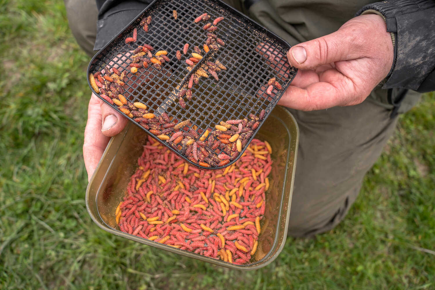 korum maggot tub and riddle 2pt K0310189