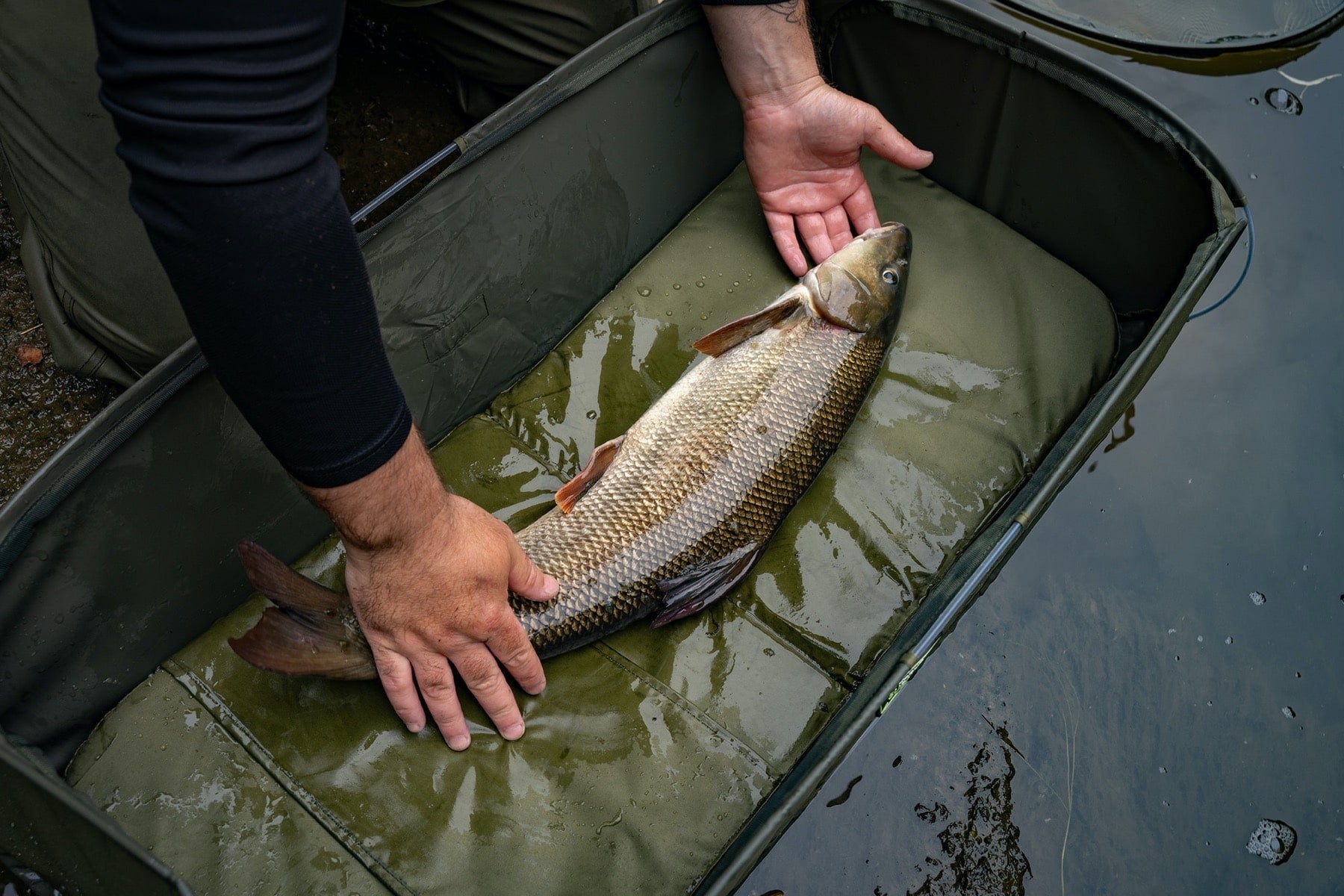 FORTSCHRITT - SCHNELLE MATTE