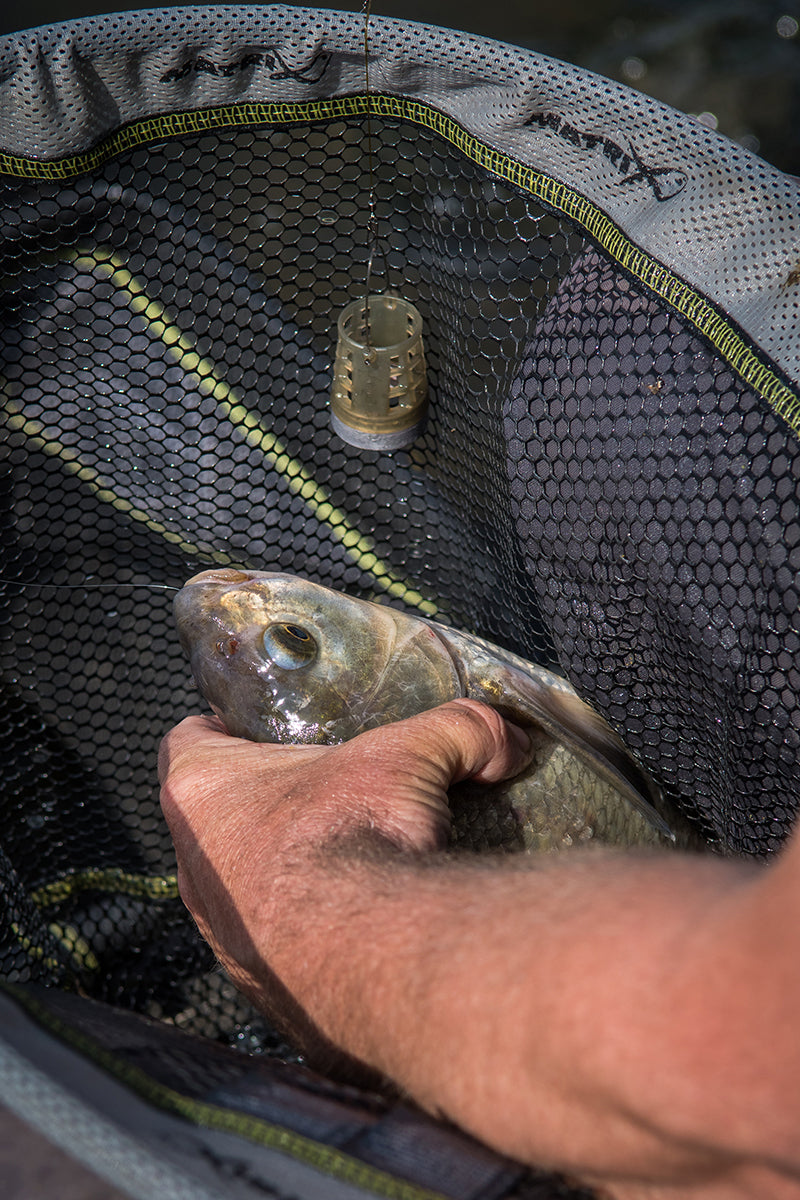 matrox feederskorven