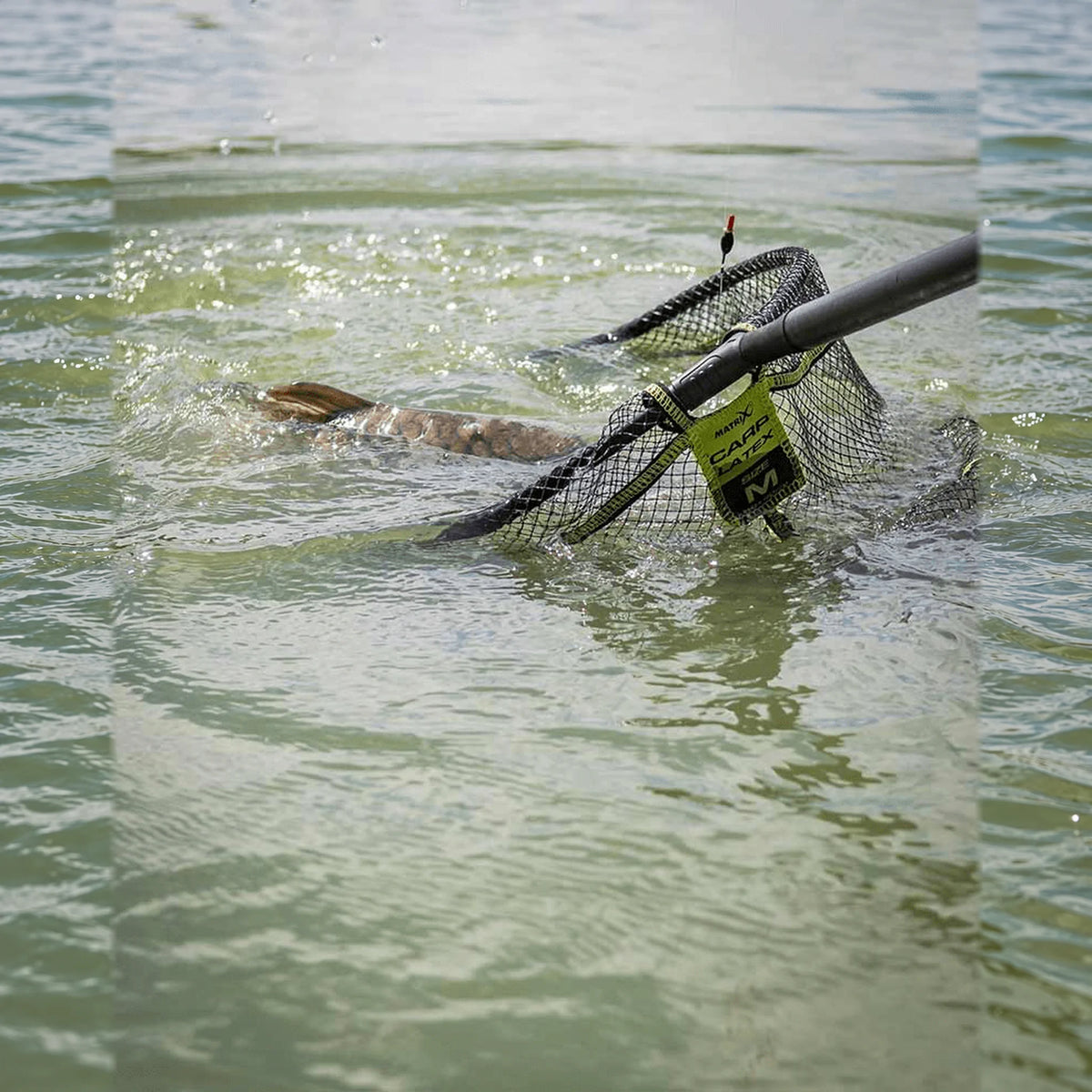 Matrix Carp Latex Landing Net met karper in het water