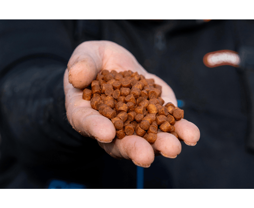 MEGA CARP PELLETS 900g