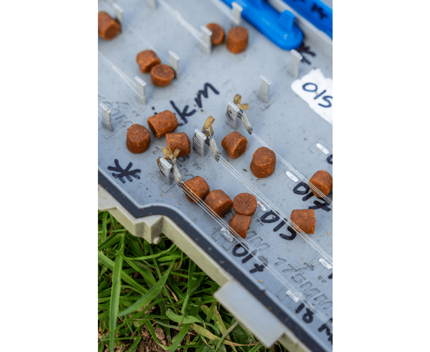 MEGA CARP PELLETS 900g