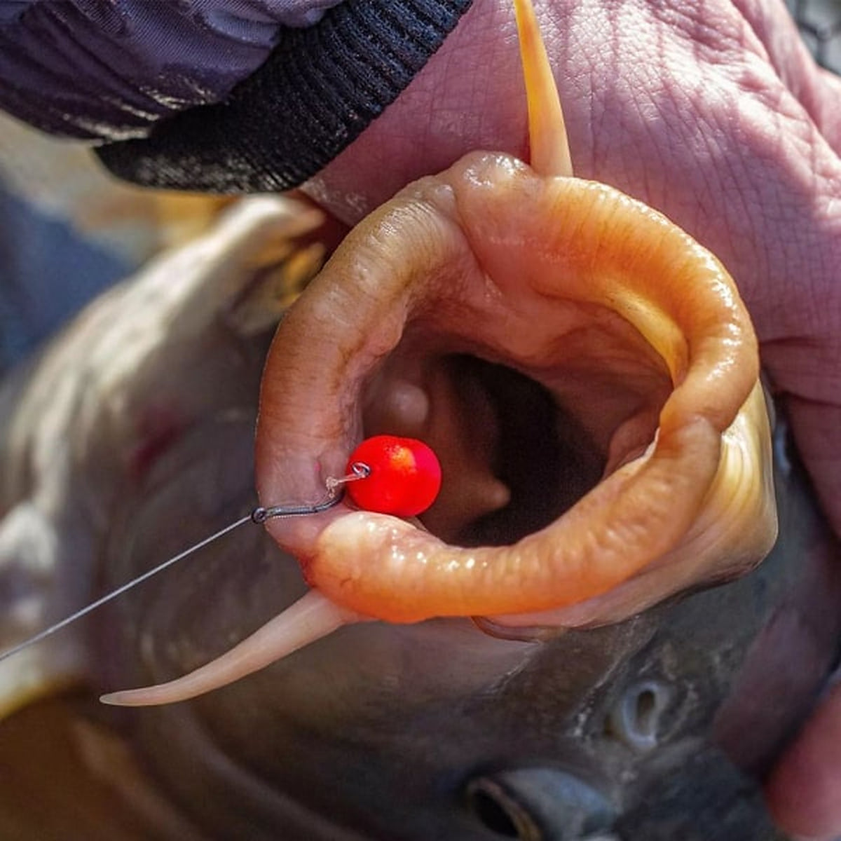 Sonubaits Band'Um Sinkers - montage met bait band