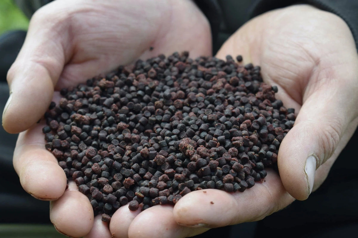 Sonubaits Spicy Sausage Halibut Pellets 900g in handen