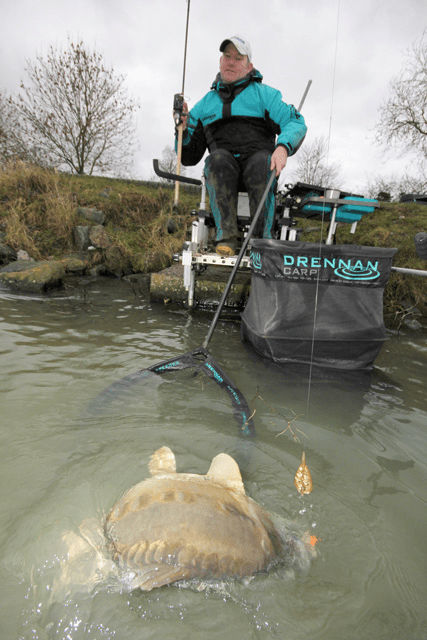 drennan acolyte plus feeder hengel