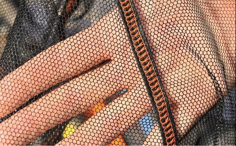 Guru Landing Net Competition Schepnet