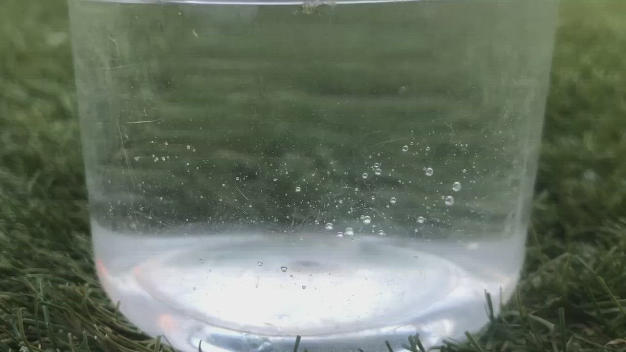 carpshop24 pro expander pellets