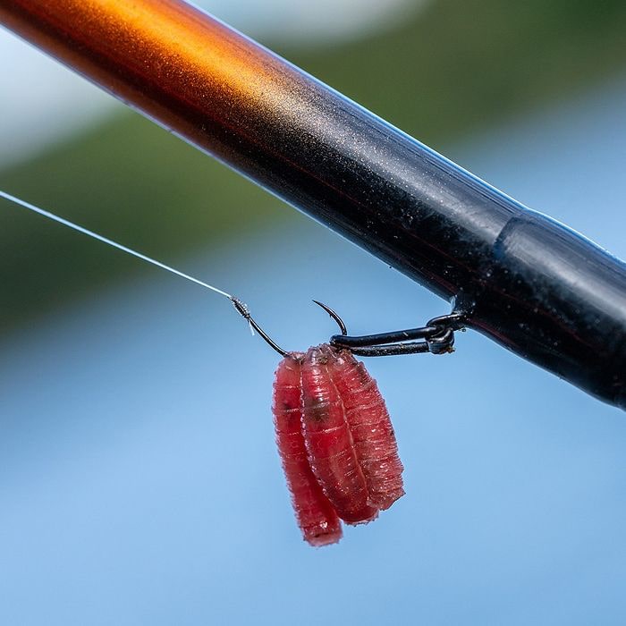 Guru kuranku micro barb spade end haak